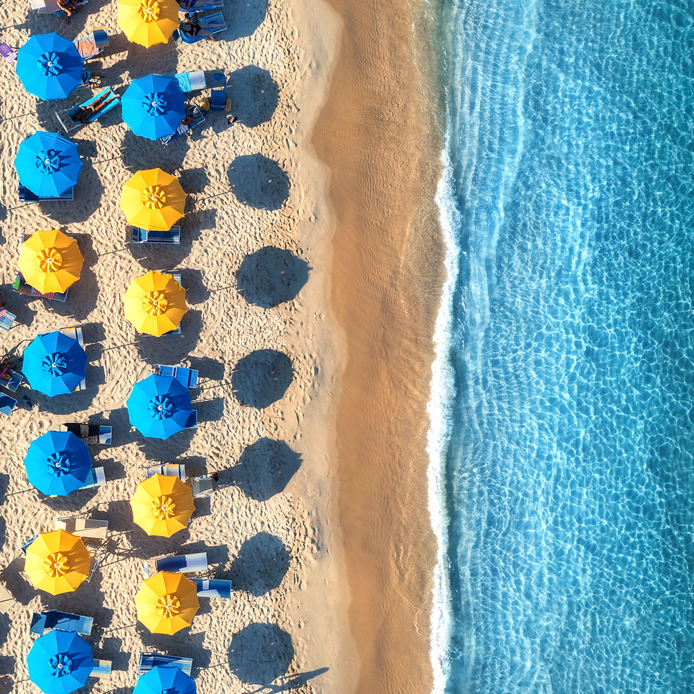 Dive into Paradise