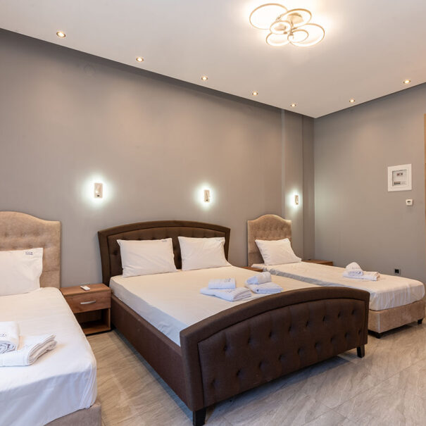 One-Bedroom Apartment 1